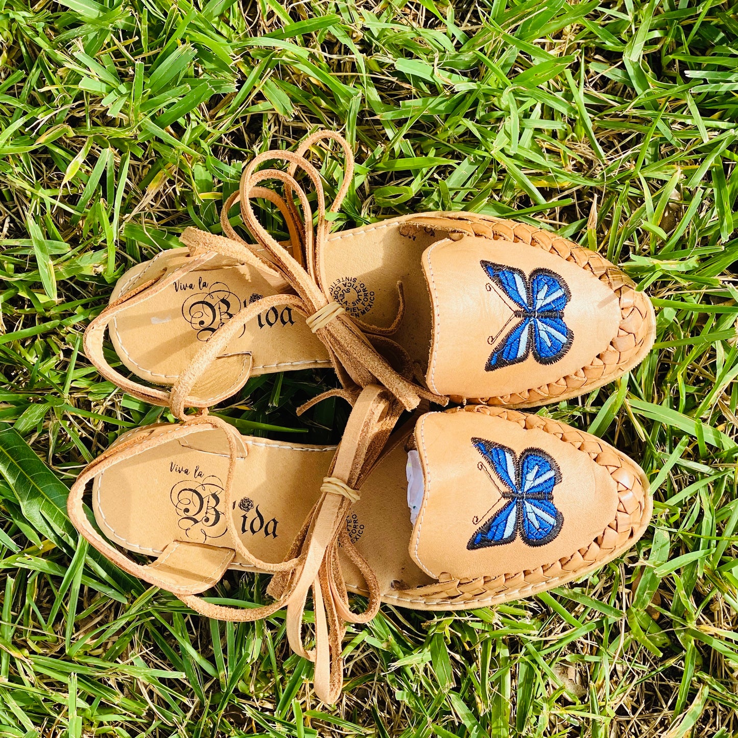 Mariposa II