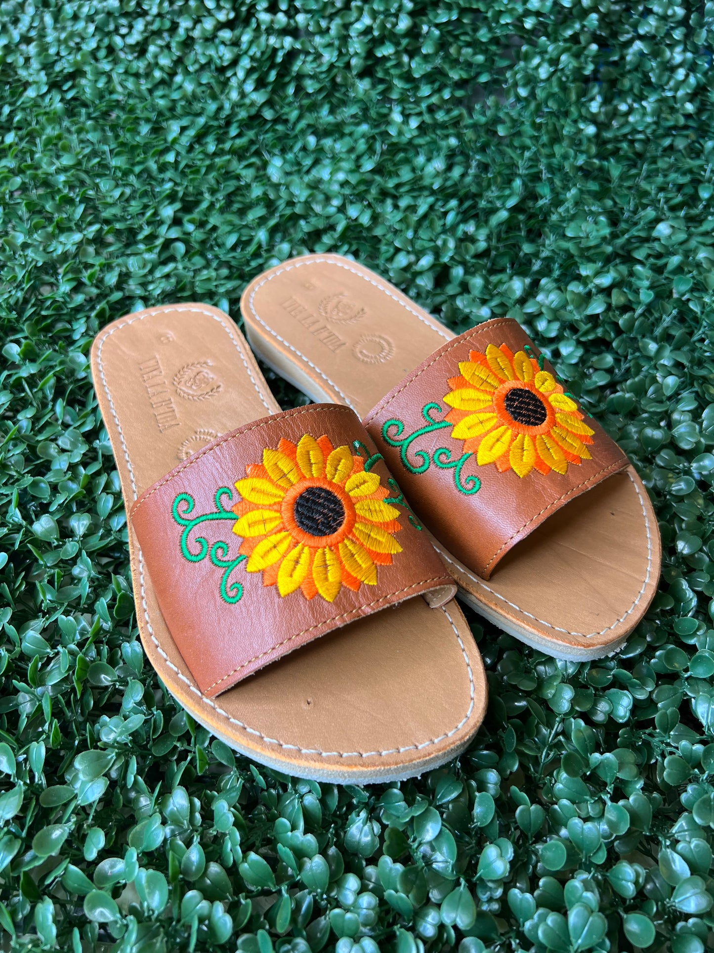ALEJANDRA HUARACHE